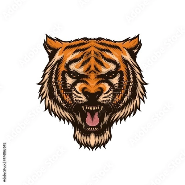 Obraz tiger head isolated vector illustration