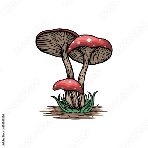 Obraz mushrooms in the grass