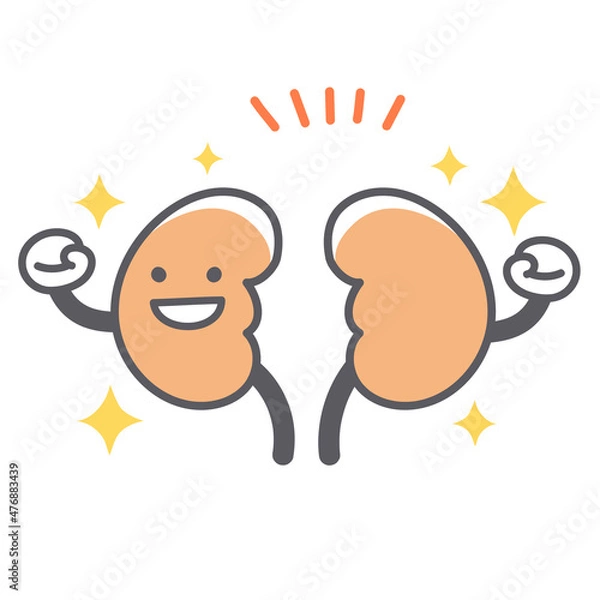 Obraz 元気な腎臓のシンプルで可愛いイラスト