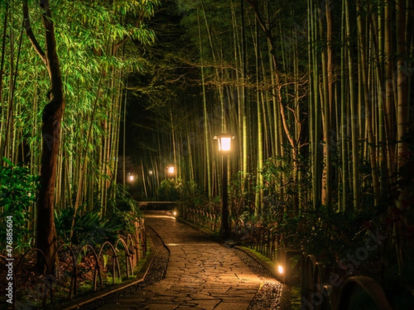 Obraz 伊豆修善寺温泉街「竹林の小径」の夜景