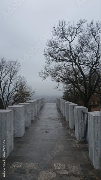 Obraz path in the fog