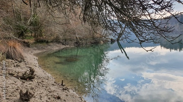 Obraz lake in the forest