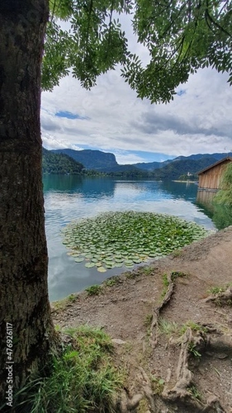 Obraz lake and mountains