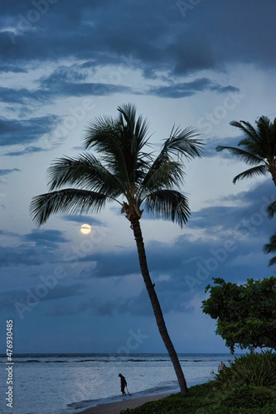 Fototapeta Full moon setting at baby beach in lahaina on maui.
