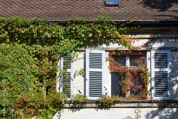 Fototapeta old house