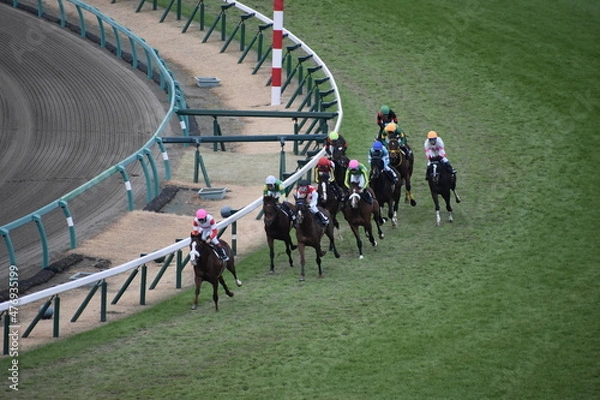 Obraz 中山競馬場