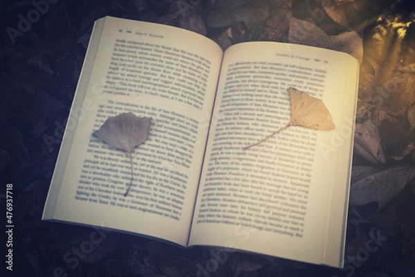 Fototapeta 本と枯葉 読書イメージ