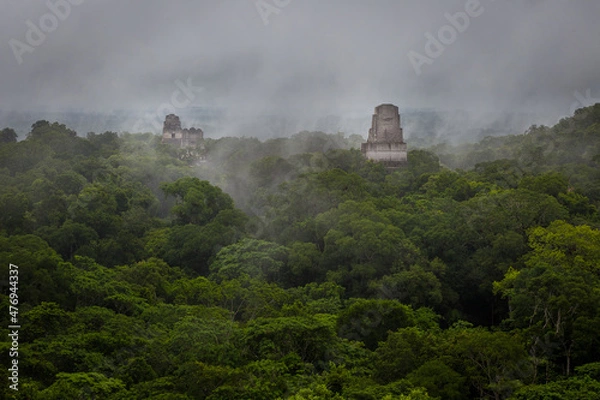 Obraz Panorama of Tikal National Park