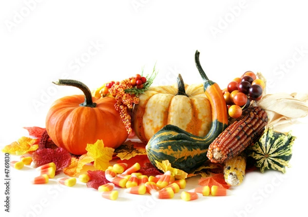 Obraz Holiday Harvest