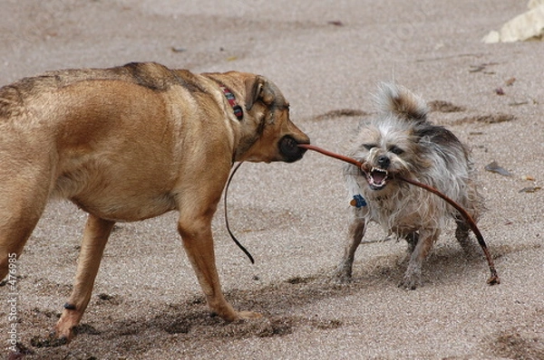 Obraz moje wodorosty !!