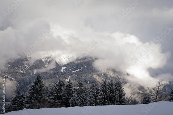 Fototapeta Winter / Landschaft