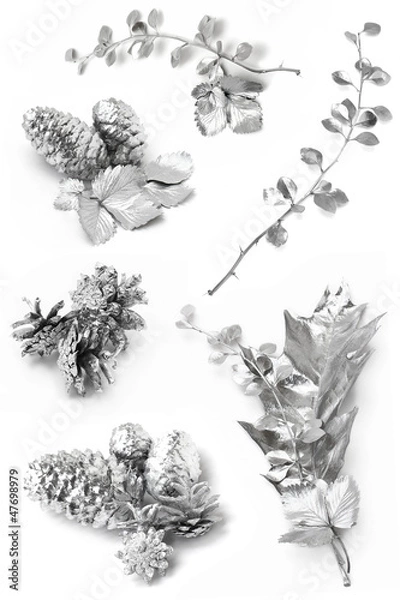 Fototapeta Silver leaves