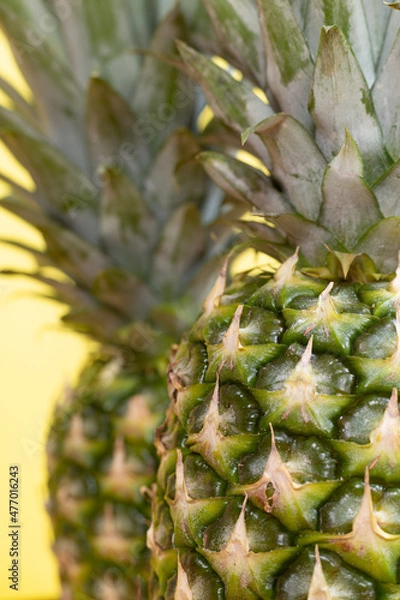 Fototapeta pineapple close up