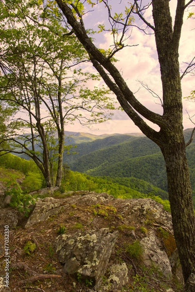 Obraz An autumn afternoon in the Blue Ridge Mountains with forested hills in the distance.