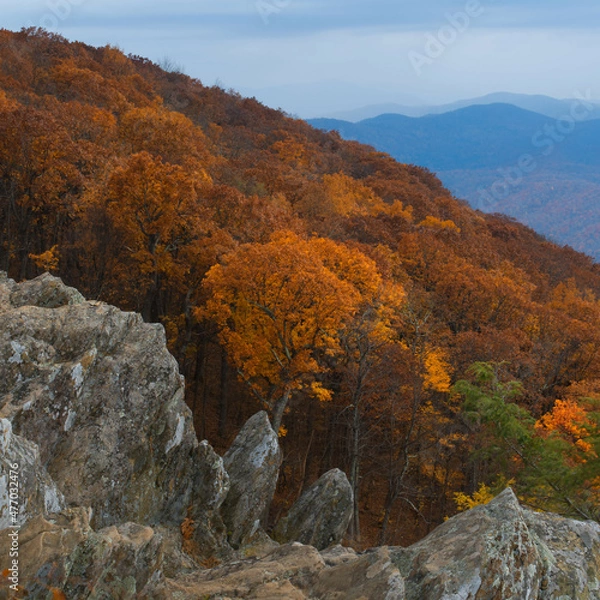 Obraz An autumn afternoon in the Blue Ridge Mountains with trees in full seasonal color and a thunderstorm in the background.