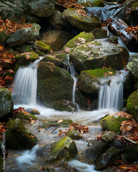 Obraz Water cascades over rocks covered with colorful leaves in this autumn scene.