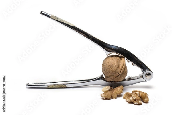 Fototapeta pliers open nuts walnut nutcracker white background
