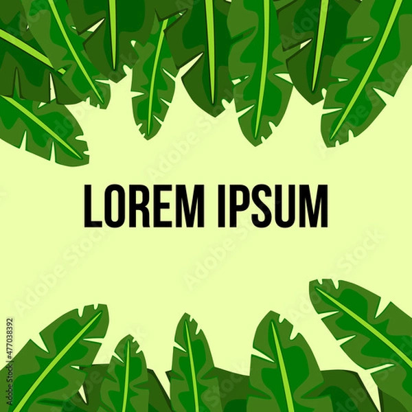 Fototapeta Template for text in tropical style. Natural decoration with banana leafs