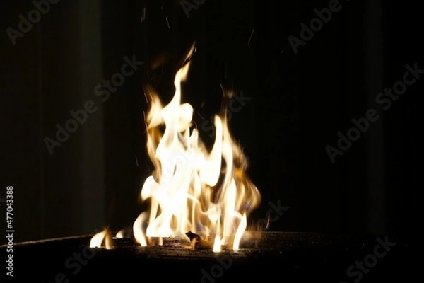 Obraz Fire dancing in the firepit