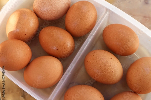 Obraz eggs in a bowl