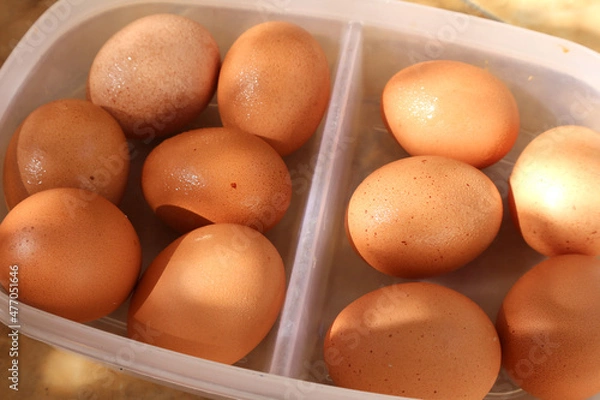 Obraz eggs in a basket