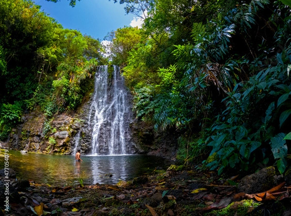 Fototapeta View of a waterfall hidden in a forest located in Mauritius