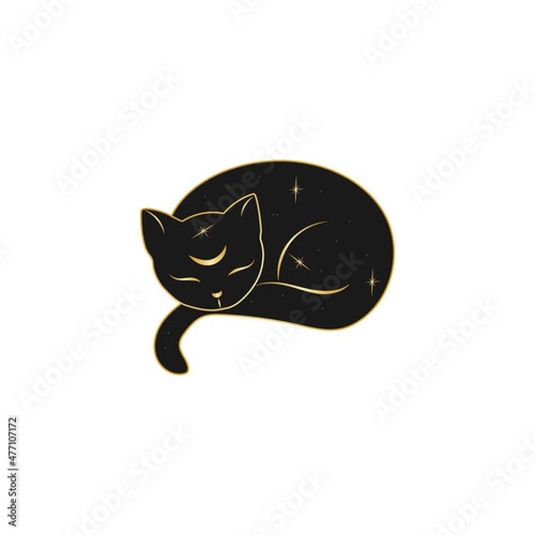 Obraz Magic cat with stars