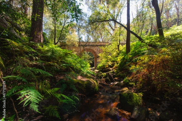 Fototapeta Lennox Bridge with the surrounding environment, Sydney, Australia.