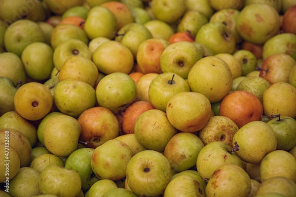 Fototapeta Close up of Bangladeshi Jujube fruits