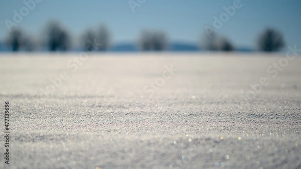 Obraz glittering snow