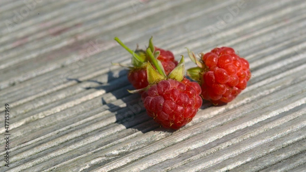 Obraz raspberry on a wooden table