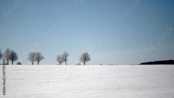 Obraz landscape with trees