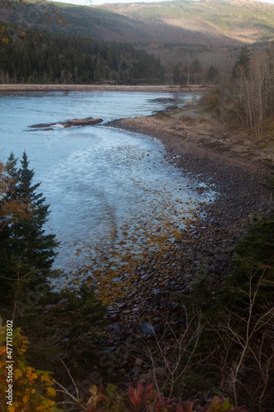 Obraz river in autumn