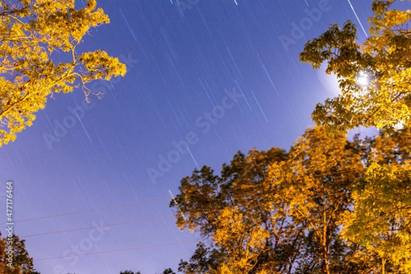 Obraz autumn landscape with trees