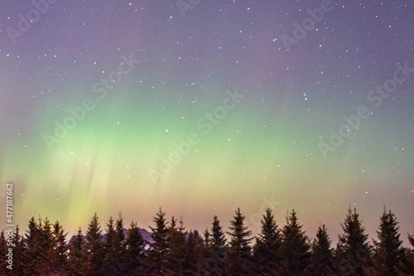 Obraz Starry Northern Lights Sky
