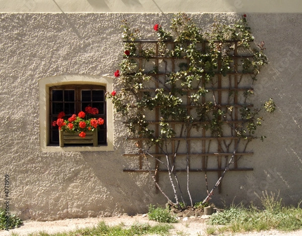 Obraz finestra con gerani e rose rosse