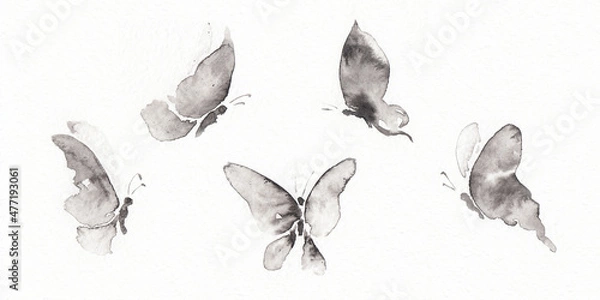 Obraz Set with five differents forms butterfly pictures.  Hand drawn china ink on paper textures