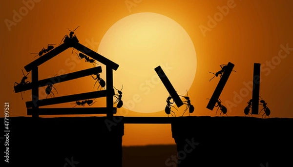 Obraz dark sun ants