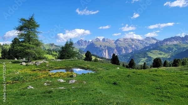 Obraz alpine meadow in summer