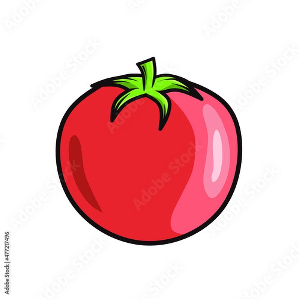 Fototapeta red tomato vegetable vector design