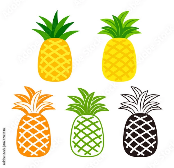 Fototapeta pineapple, tropical fruit set vector isolated