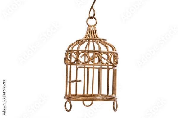 Obraz bird cage
