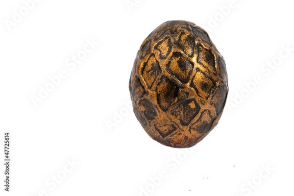 Obraz dragon egg