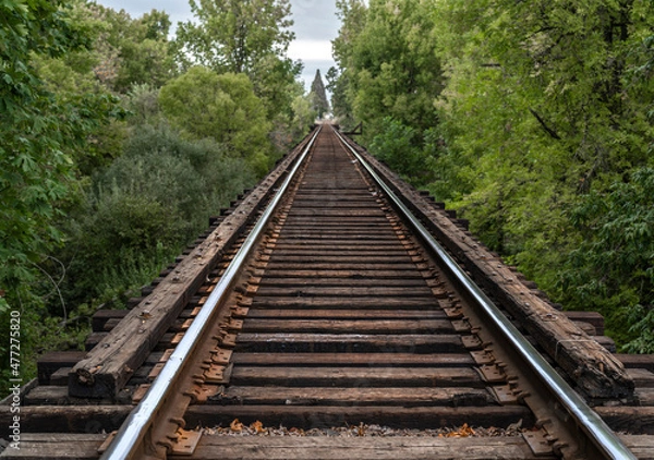 Obraz railway in the forest