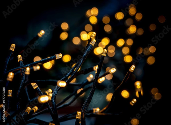 Fototapeta Lichter - lights