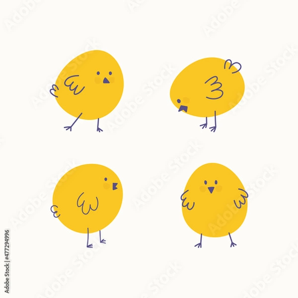 Obraz Set of four simple yellow chicks, chicken. Vector minimalistic elements for Easter, childrens or animal designs.