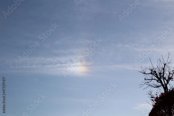 Obraz 大空の虹色の雲と木のある丘のシルエット