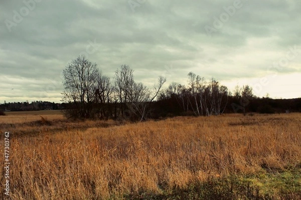Obraz Natur im Winter