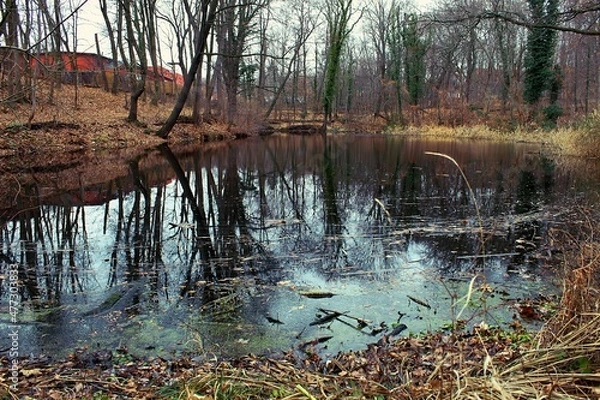 Obraz Blick auf einen kleinen Teich