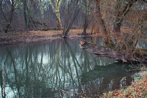 Obraz Kleiner Teich im Winter